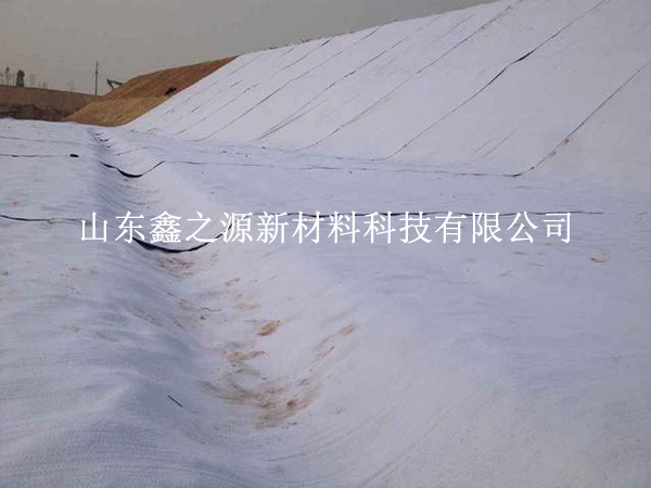 守護(hù)養(yǎng)殖基業(yè)，揭秘防滲膜防老化新策略