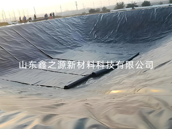 選擇防滲土工膜進(jìn)行小龍蝦養(yǎng)殖有哪些要點(diǎn)技巧？